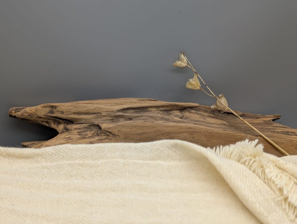 whatsapp image 2025 12 16 at 14.56.27